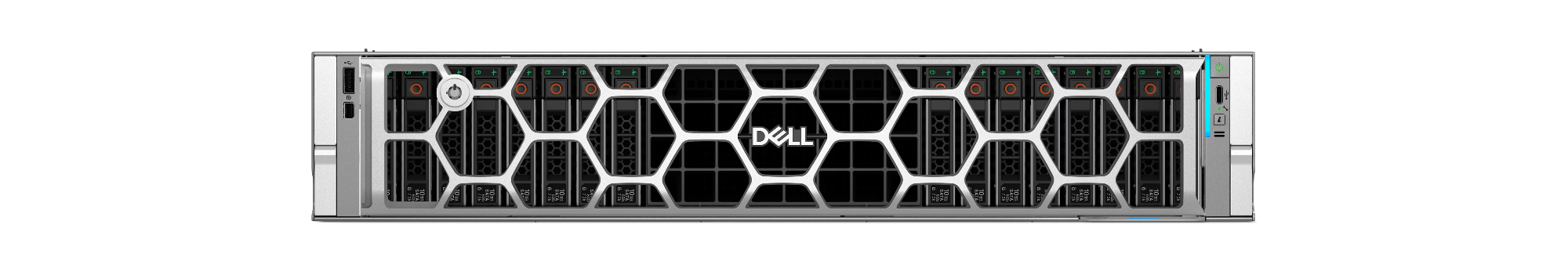 DELL (1)